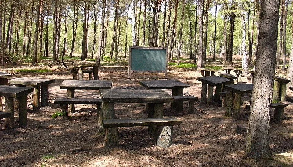 Unterrichtsraum – Symbolfoto zu „Schulverpflegung an mehreren Standorten“.