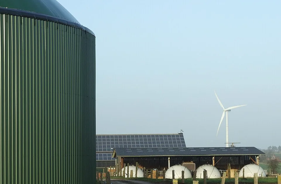 Photovoltaikanlage – Symbolfoto zu „Langfristiger Stromabnahmevertrag für Windenergie“.